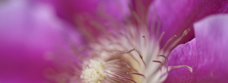 Praktijk voor Natuurlijke Gezondheid